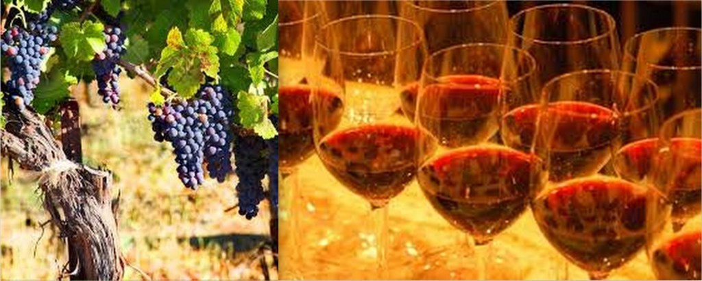 Nashik Wine Industry